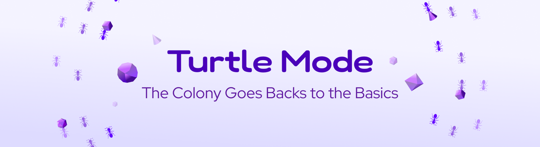 The DeFi Collective Enters Turtle Mode