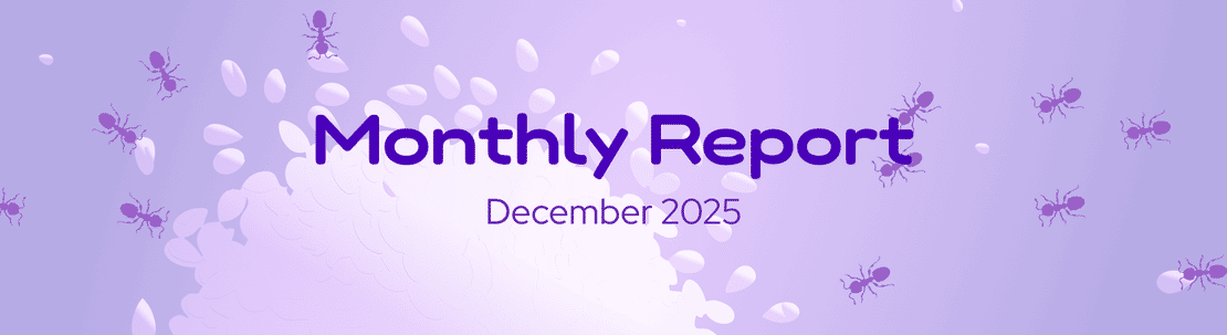 The DeFi Collective - December 2025 Report