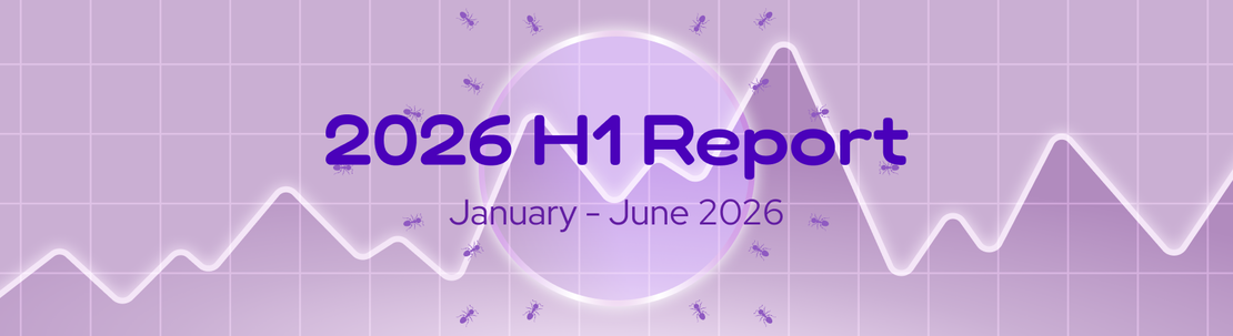 The DeFi Collective - Biannual Report [H1 2026]