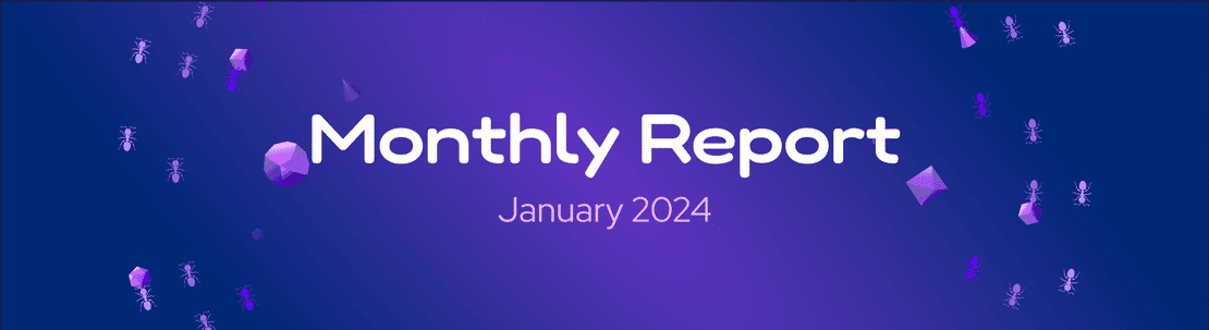 The DeFi Collective - January 2024 Report