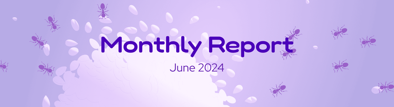 The DeFi Collective - June 2024 Report