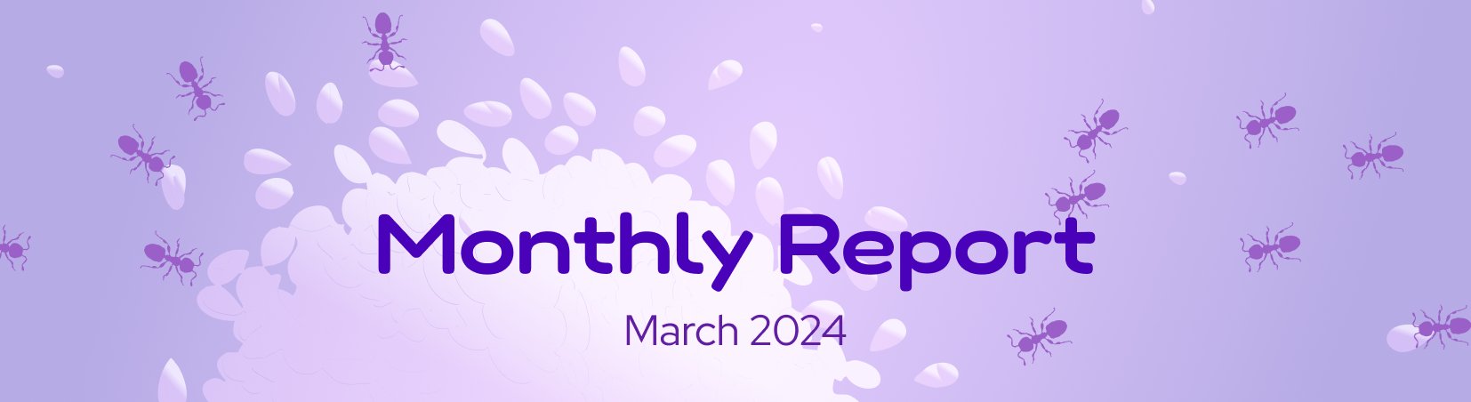 The DeFi Collective - March 2024 Report