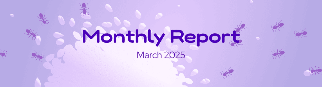 The DeFi Collective - March 2025 Report