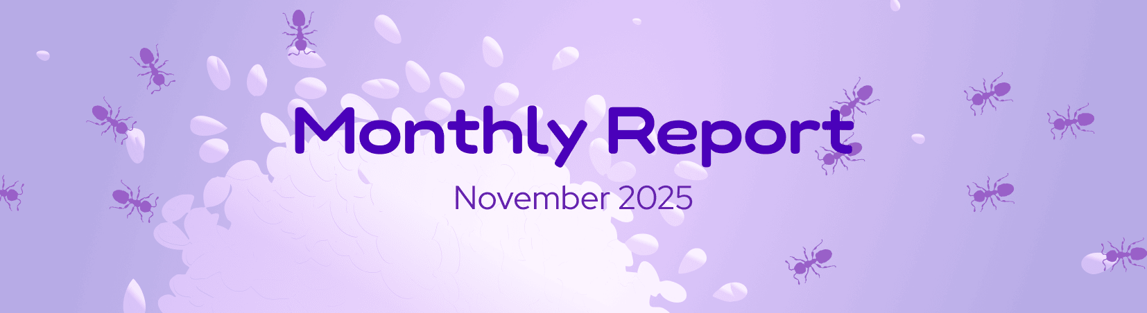 The DeFi Collective - November 2025 Report