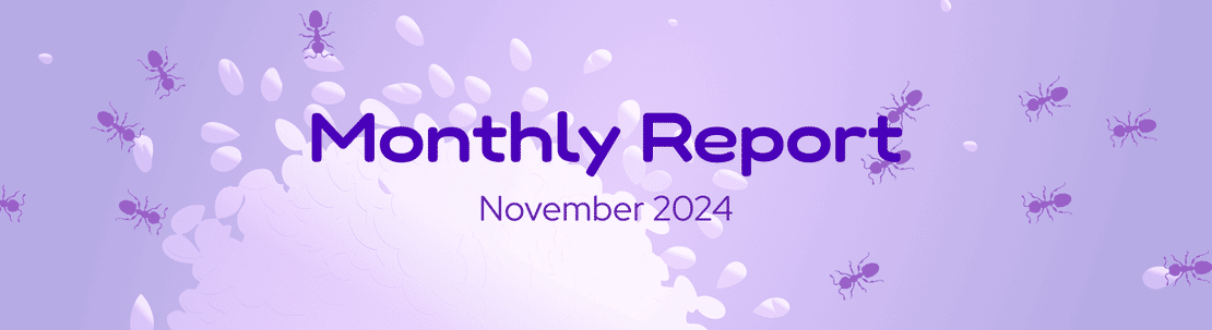 The DeFi Collective - November 2024 Report